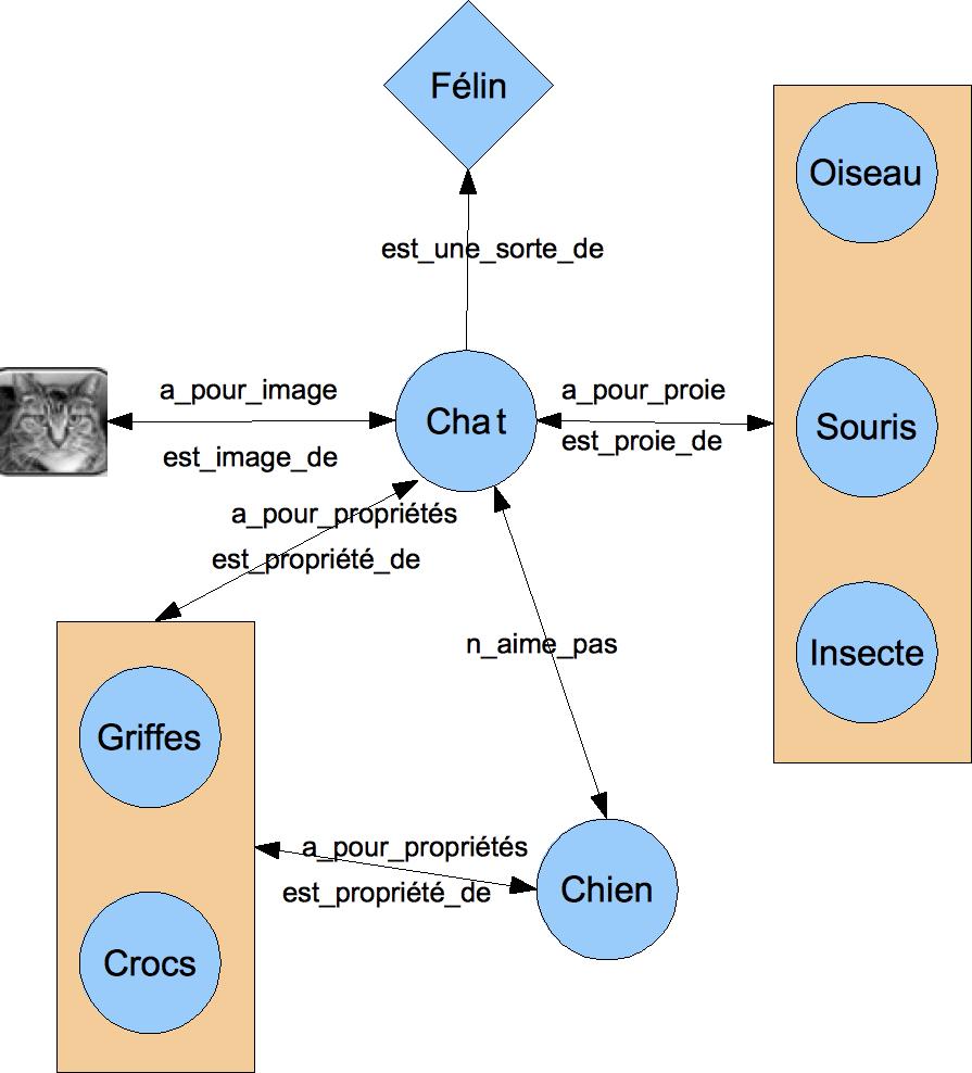 réseau sémantique du chat semantic network for a cat