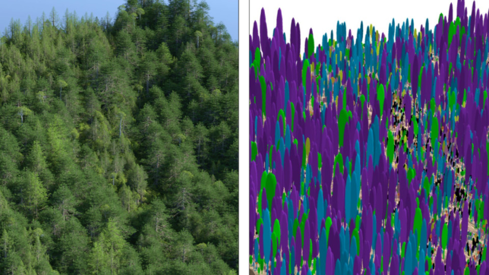 EcoViz: a tool for visual analysis and photorealistic rendering of forest landscape model simulations Thumbnail