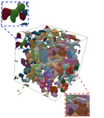 Digital Flow for Shape Decomposition: Application to 3-D Microtomographic Images of Snow