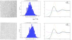 Blue-noise sampling for human retinal cone spatial distribution modeling