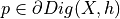 p\in \partial Dig(X,h)