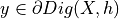 y \in \partial{Dig(X,h)}