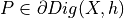 P\in\partial Dig(X,h)