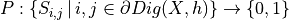 P:\{ S_{i,j}\,|\,i,j\in \partial Dig(X,h) \} \rightarrow \{0,1\}