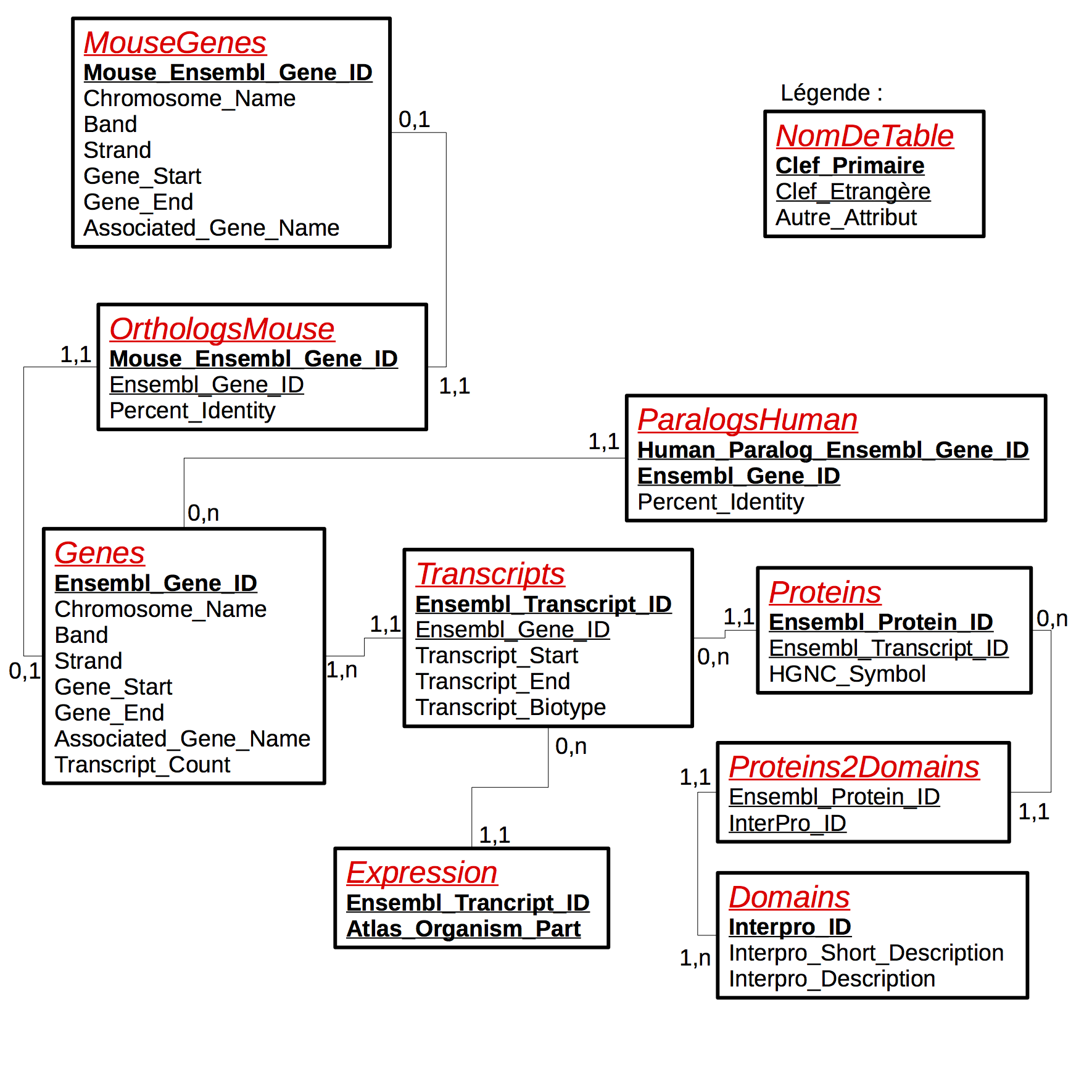 ../_images/schema_relationnel.png