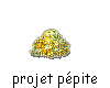 logo projet Ppite