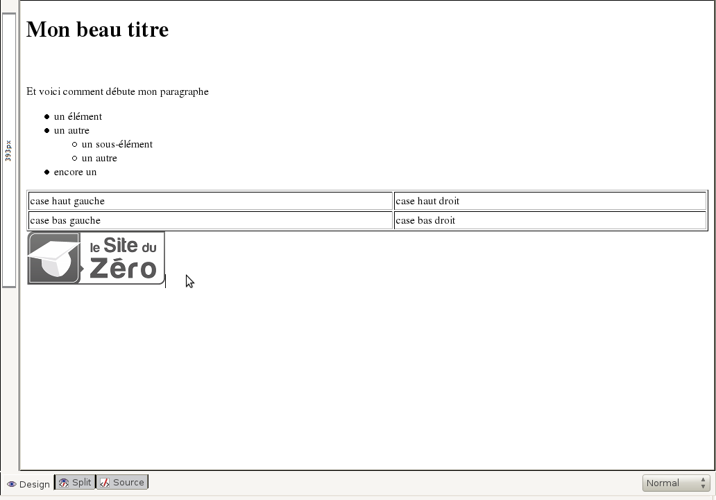 Copie d'cran montrant que le logo du site du zro a t insr